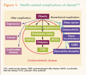 Assessment and management of patients with obesity CNER_Figure 1