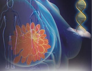 contribution of genetics to breast and gynecologic cancers 