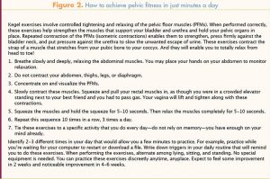 digital assessment pelvic floor muscle technique figure two achieve fitness