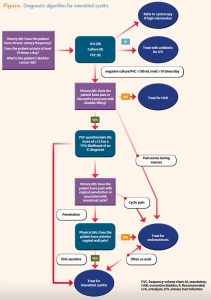 interstitial cystitis algorithm simplify diagnosis chronic urinary symptoms figure