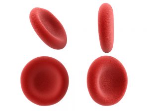 Collection of red blood cells