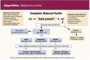 Algorithm: Maternal pruritis