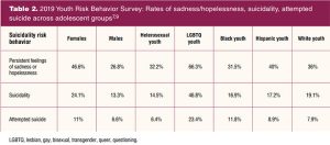 2019 Youth Risk Behavior Survey Rates of sadness hopelessness, suicidality, attempted suicide across adolescent groups