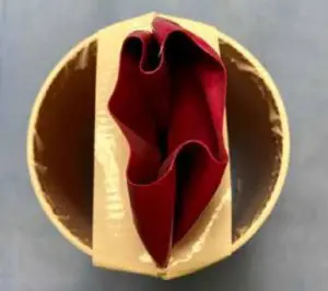 Construction of a vaginal simulation model for pelvic health education