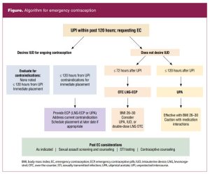 Algorithm for emergency contraception