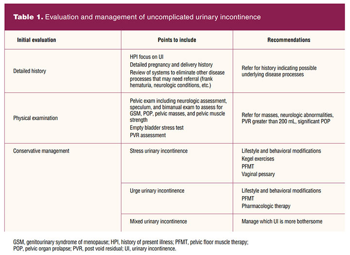 Evaluation and Conservative Management of Urinary Incontinence in