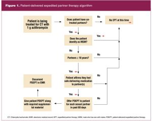 Patient-delivered expedited partner therapy algorithm