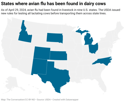 states-where-avian-flu-has-been-found-in-dairy-cows