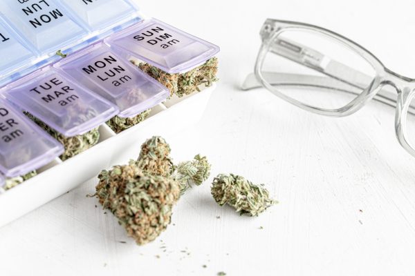 cannabis and older users