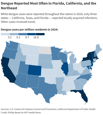 Dengue map